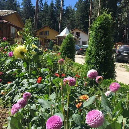 Houses Uiut